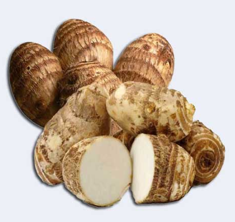 কচুমূখী