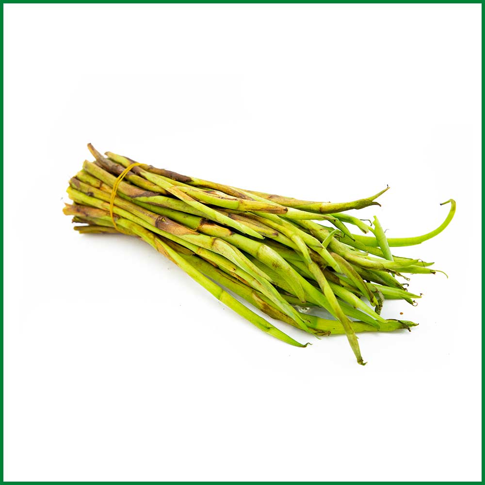 কচুর লতা
